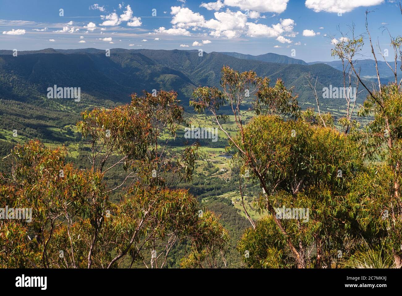 Typical bush country in the Border Ranges in the midd east of New South Wales, Australia Stock Photo