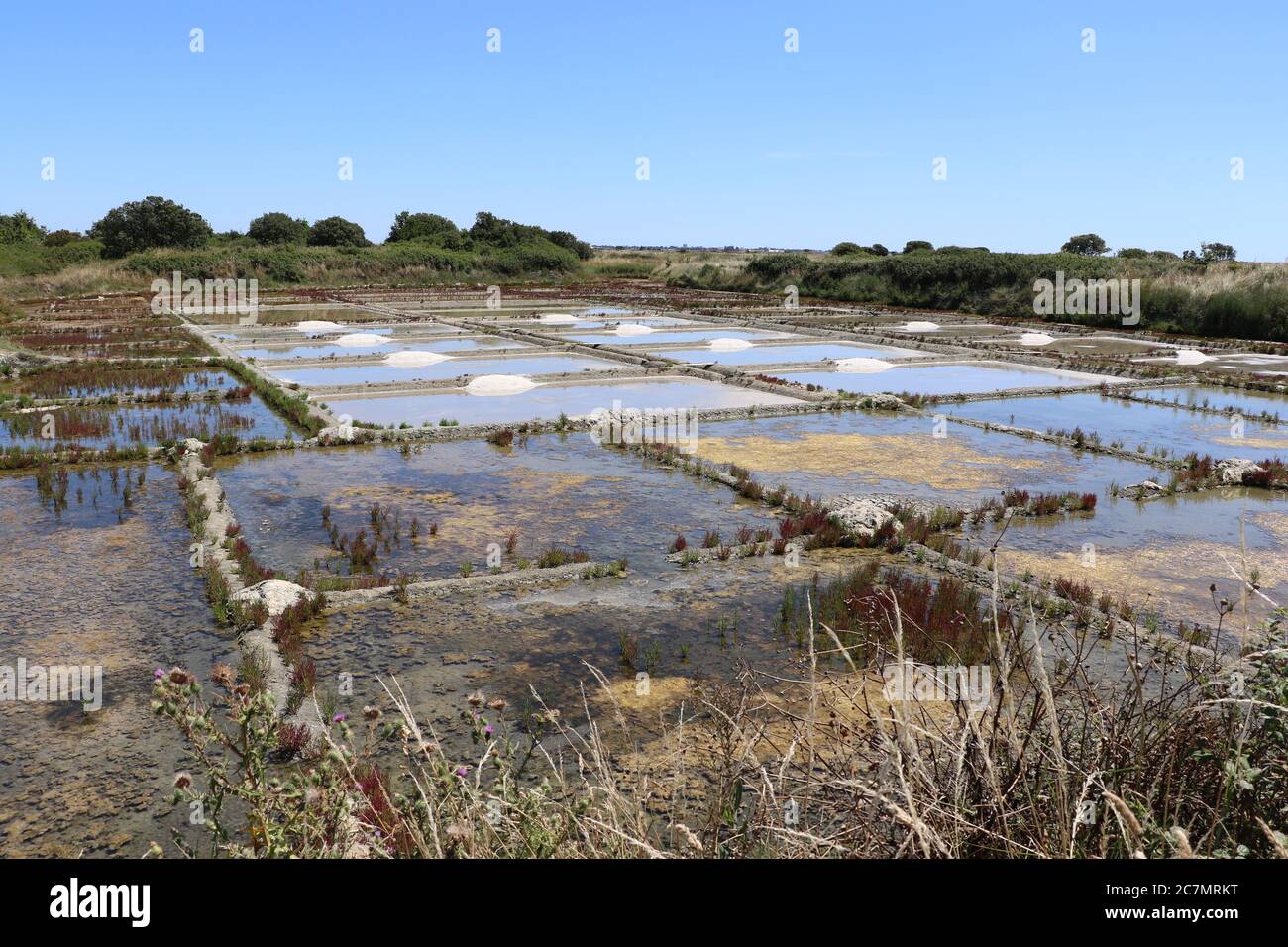 Salt marshes of Guerande Stock Photo - Alamy