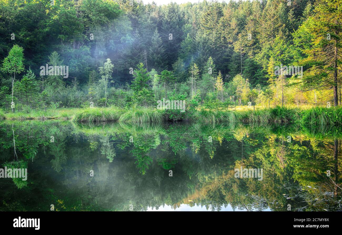 Green forest, dramatic sky, meadow and reflection in water. Cranberry or Dead lake in Carpathian mountains. National natural park Skole Beskydy, Ukrai Stock Photo