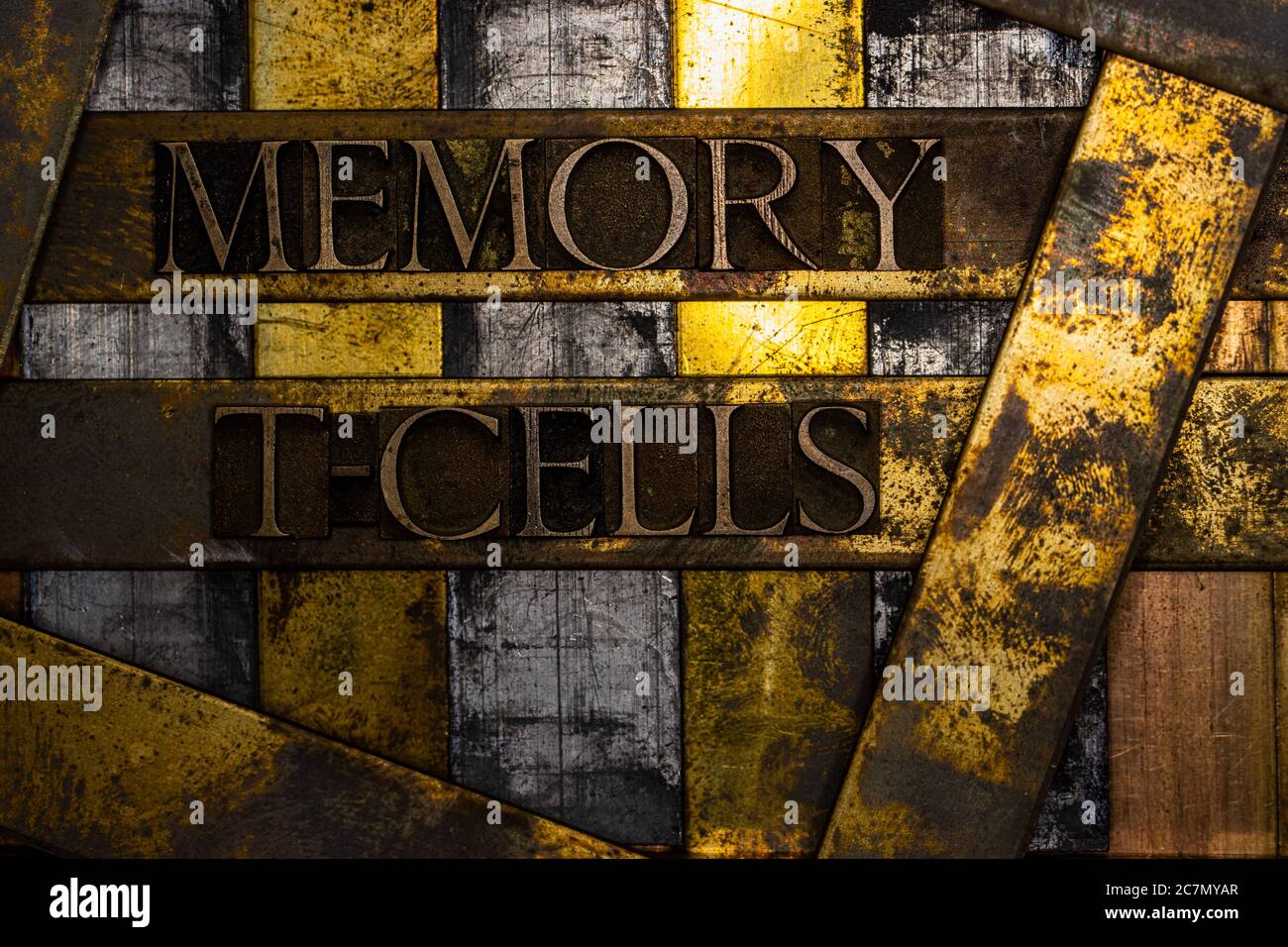 Memory T-Cells text formed with real authentic typeset letters on vintage textured silver grunge copper and gold background Stock Photo