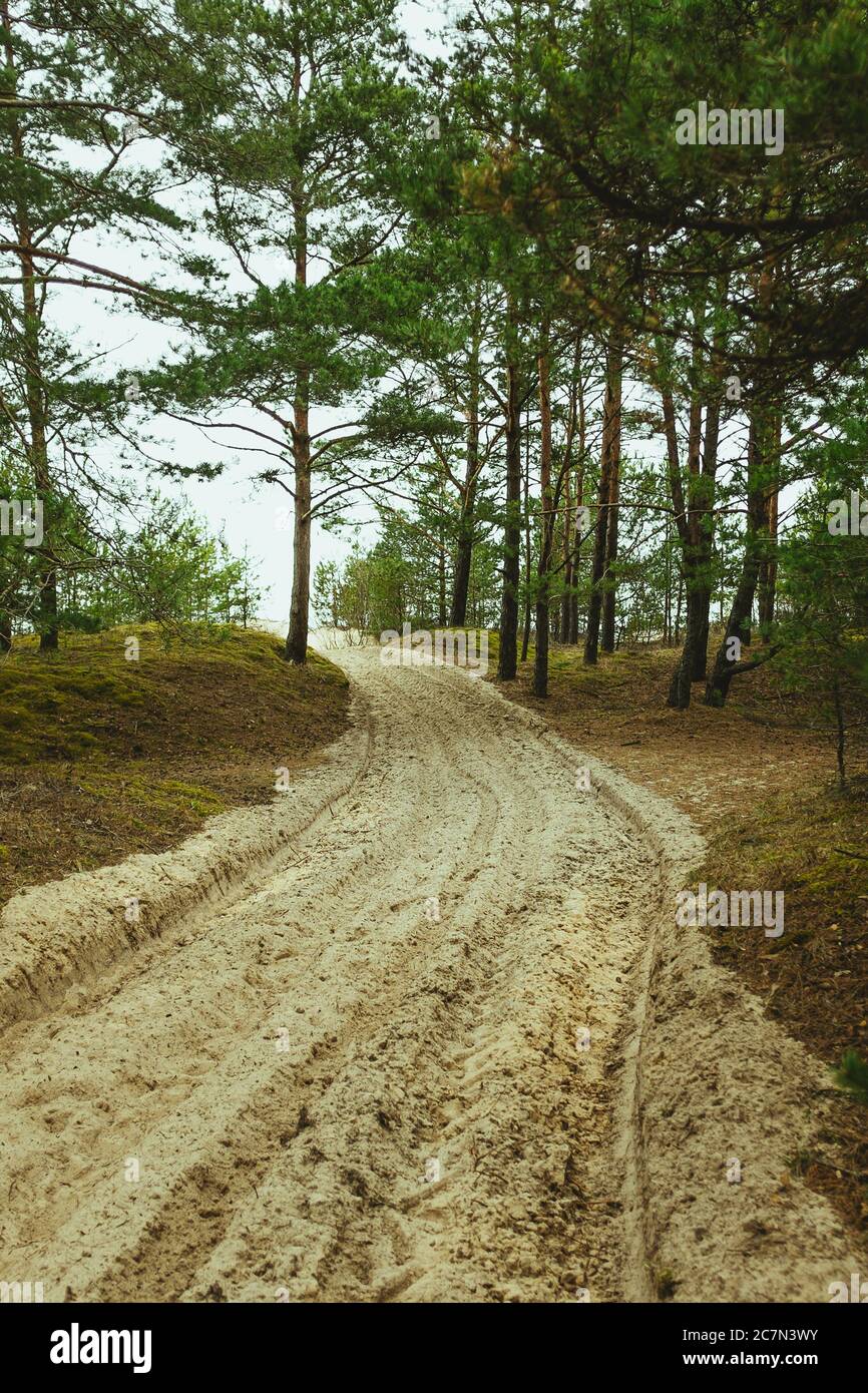Vertical shot walkway through hi-res stock photography and images - Alamy