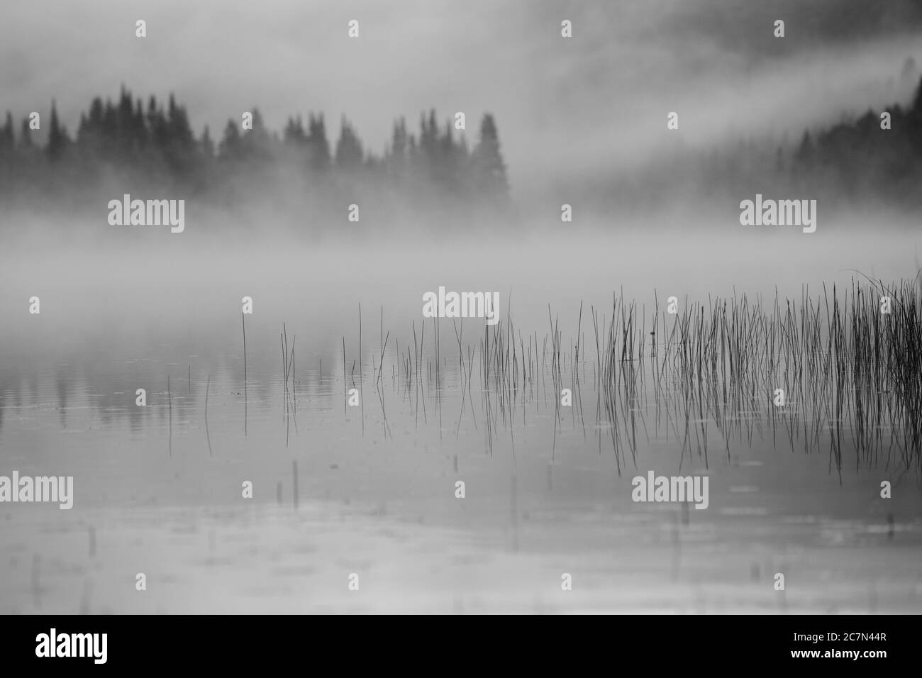 Misty Morning  in Mont Tremblant National Park-Canada Stock Photo