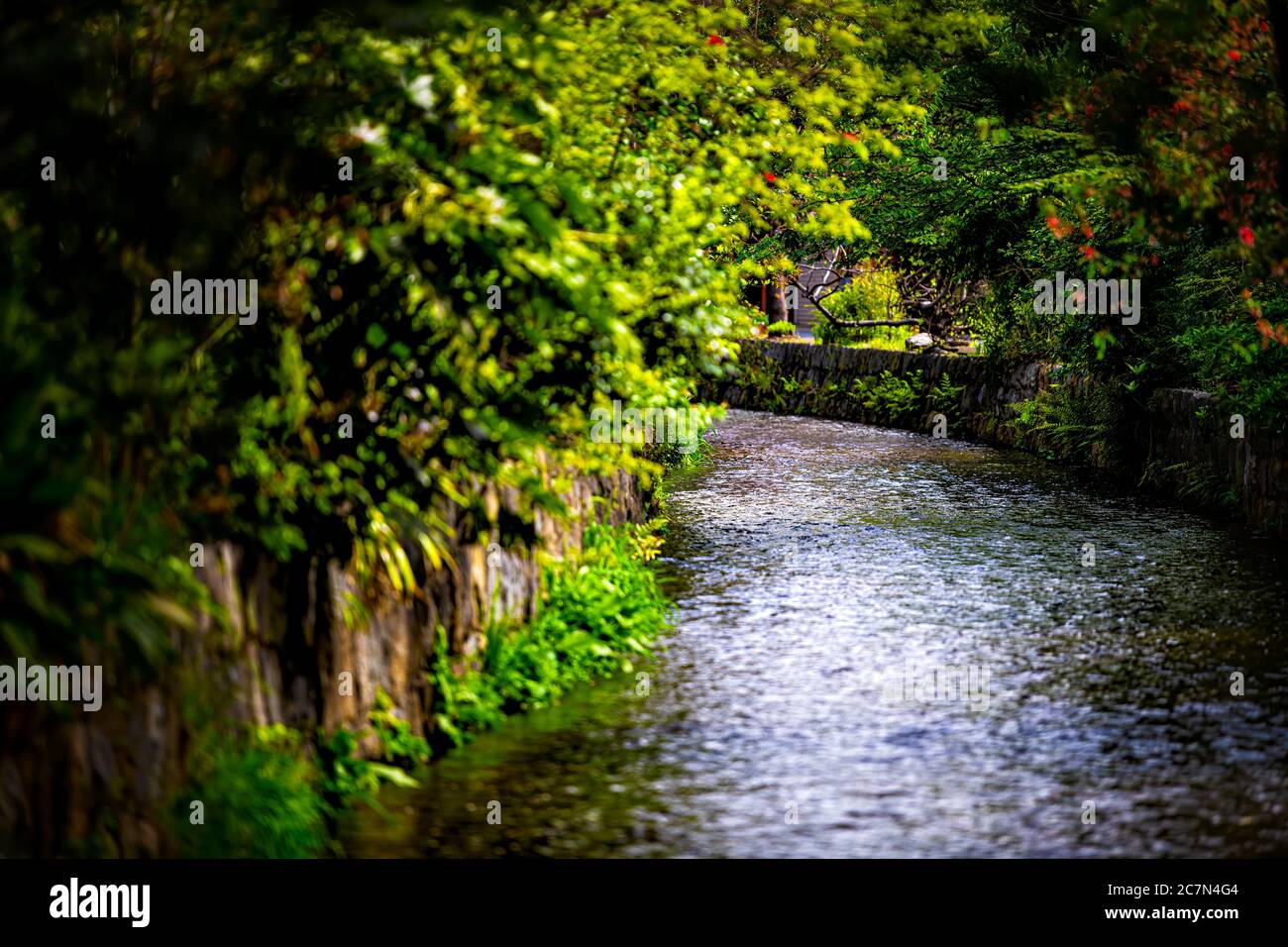 Kyoto Japan Residential Neighborhood In Spring With Takase River Canal Water In April With Green Trees Plants Along Waterway Stock Photo Alamy Kyoto Japan Residential Neighborhood In Spring With Takase River Canal Water In April With Green Trees Plants Along Waterway Stock Photo Alamy