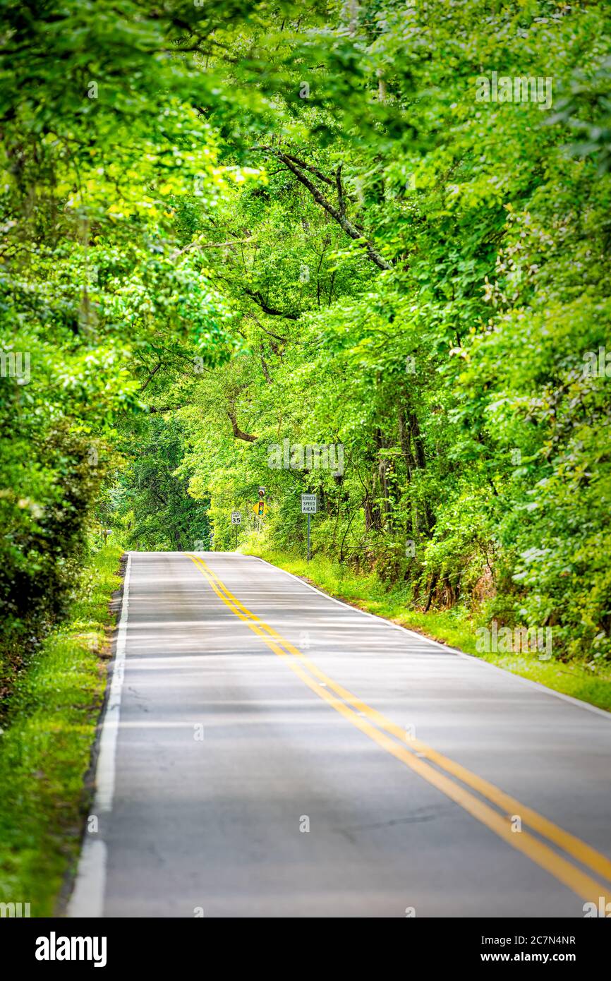 Tallahassee, Florida Miccosukee street scenic canopy road with nobody during day with southern live oak trees vertical view Stock Photo