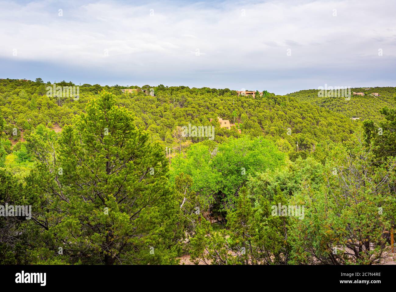 Pinon new mexico hires stock photography and images Alamy