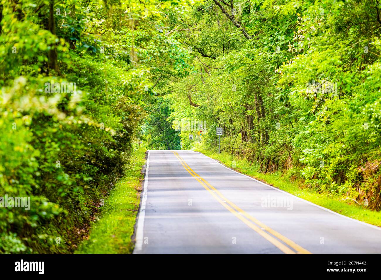 Tallahassee, USA Miccosukee street scenic canopy road with nobody in Florida during day with southern live oak trees Stock Photo
