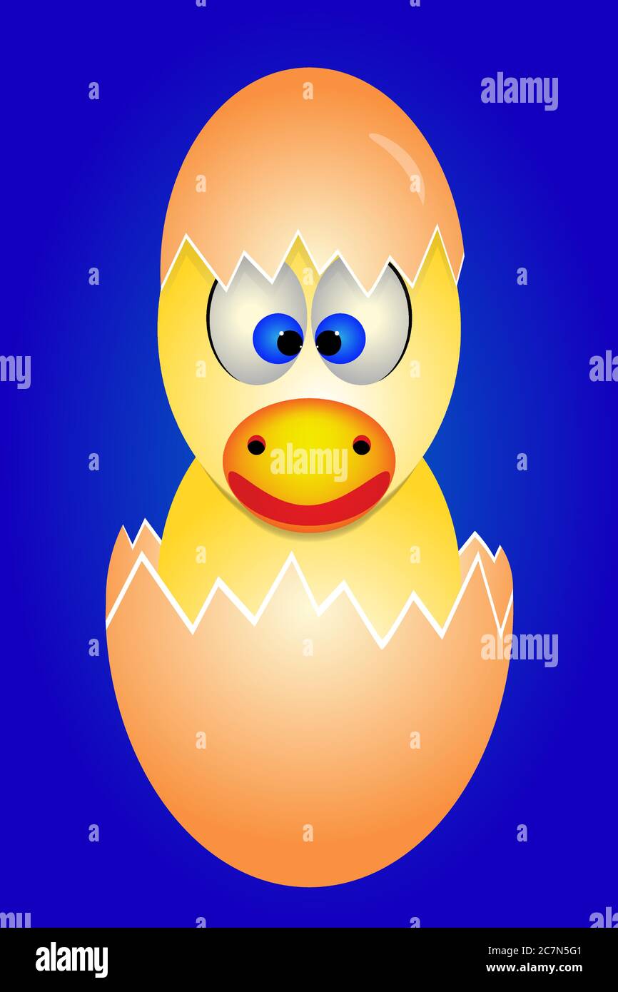 Chicken chick baby in a cracked egg Stock Vector