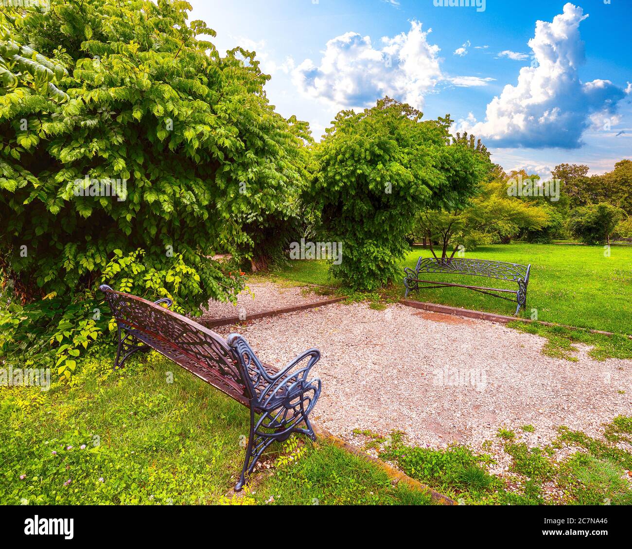 Benches in Public Garden Herastrau (King Mihai I of Romania Park). Fantastic sunny day in green summer park. Bucharest, Romania, Europe Stock Photo