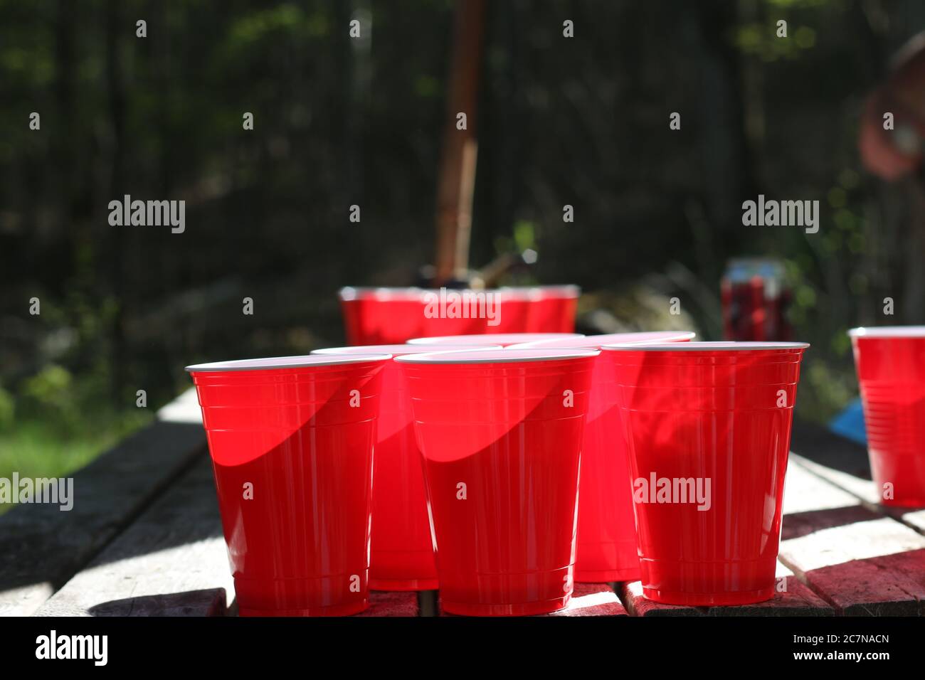 beer pong cups set up outside on picnic table Stock Photo Alamy