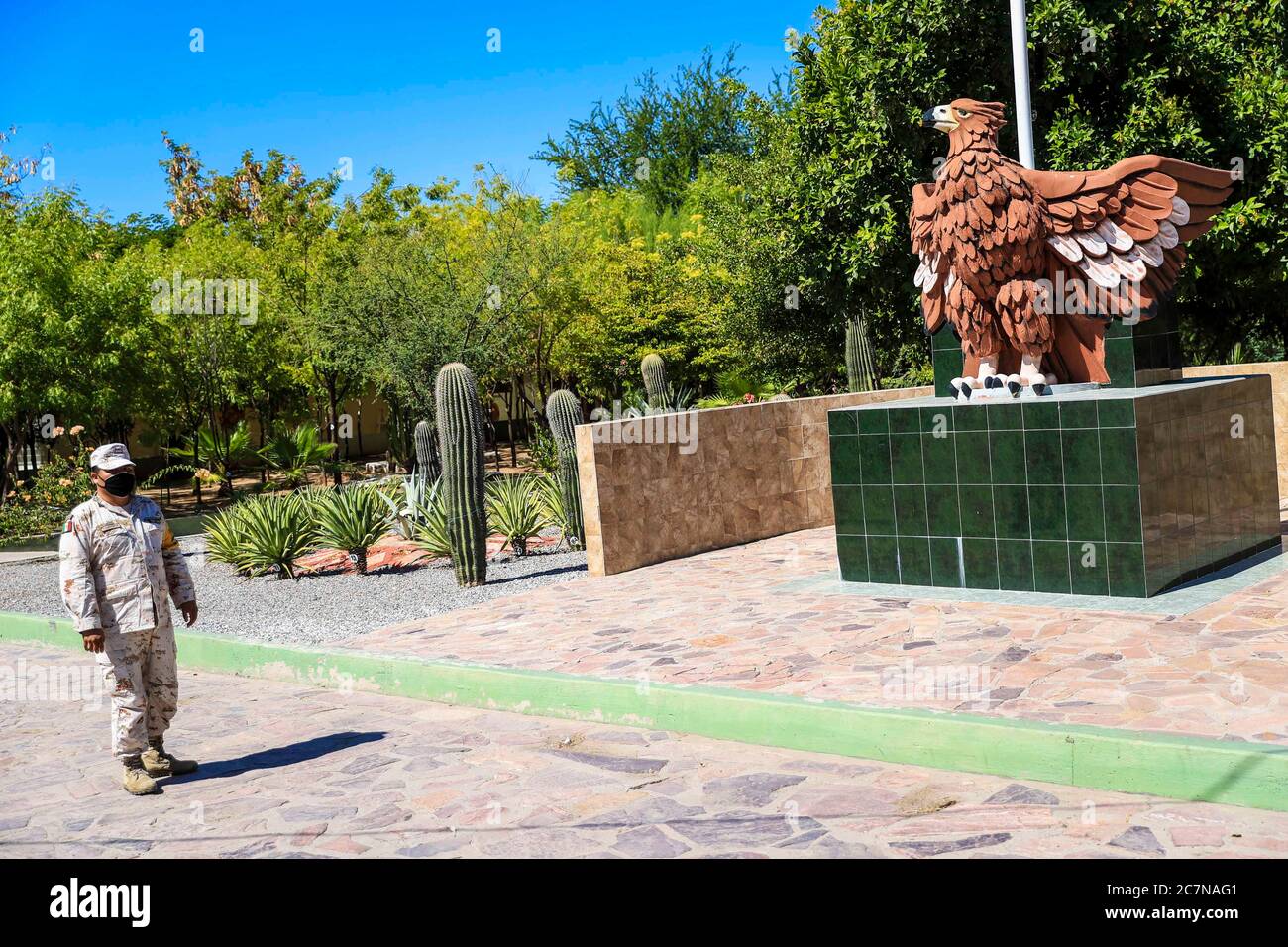 Zona Virus High Resolution Stock Photography and Images - Alamy