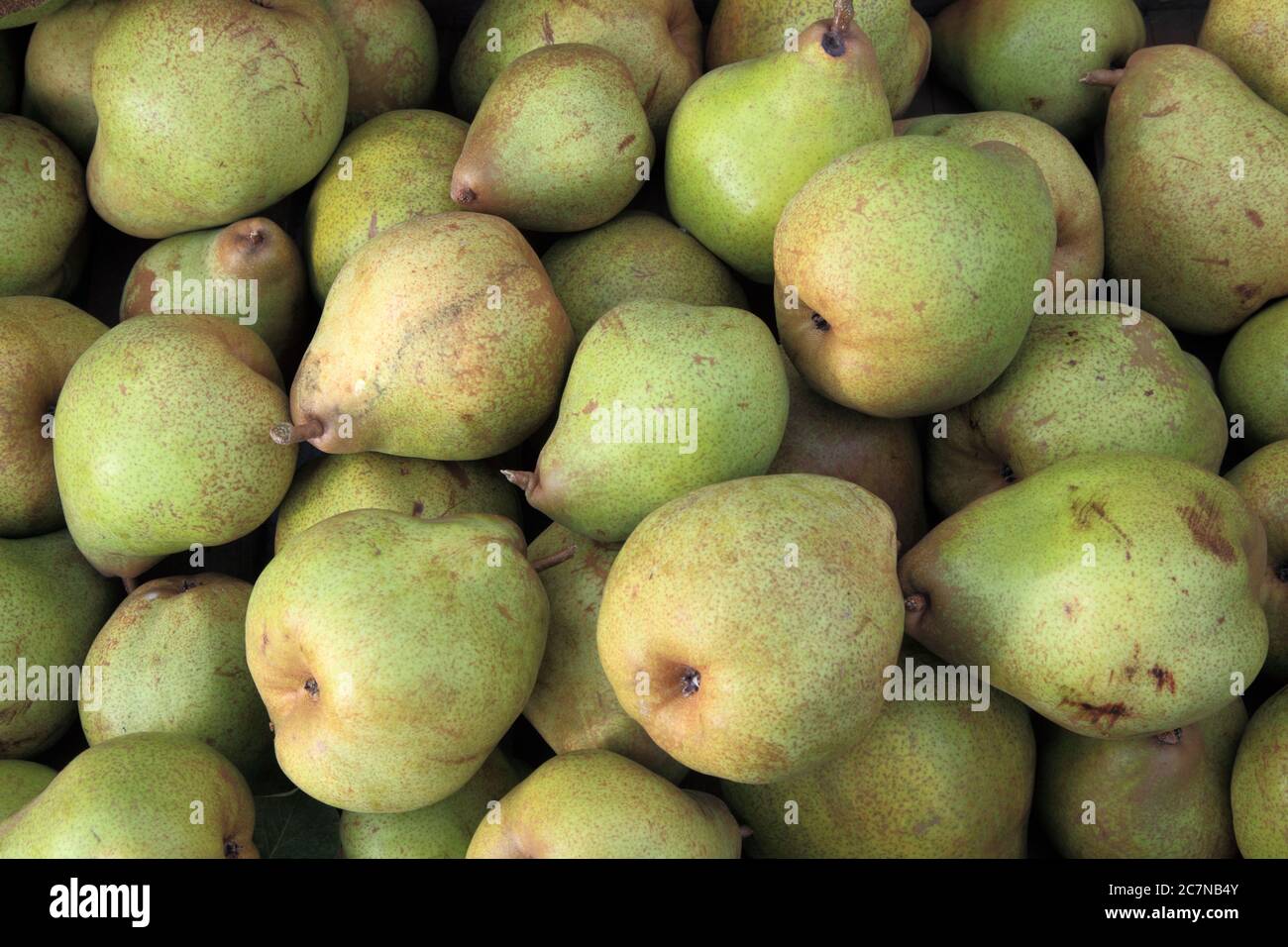 Pear 'Red comice', pears, cookers, cooking pears, Pyrus Communis Stock Photo