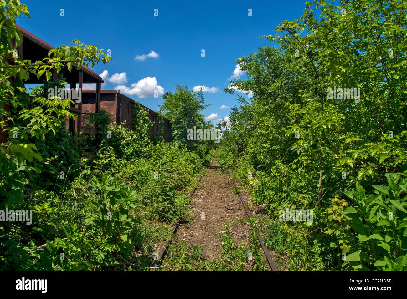 A sad picture of the railroad. The railway track and wagons in the