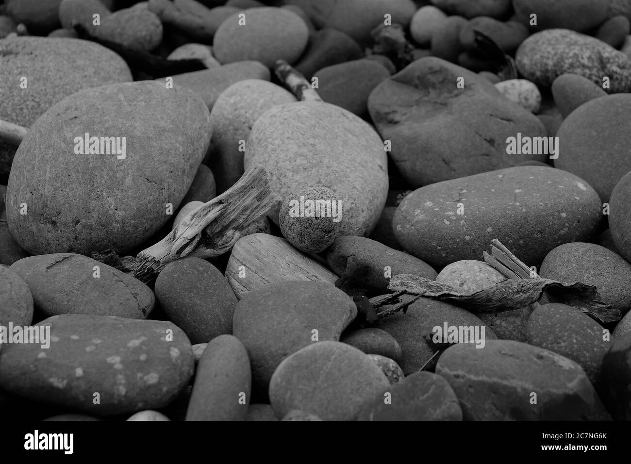 West Coast Shoreline Stock Photo Alamy