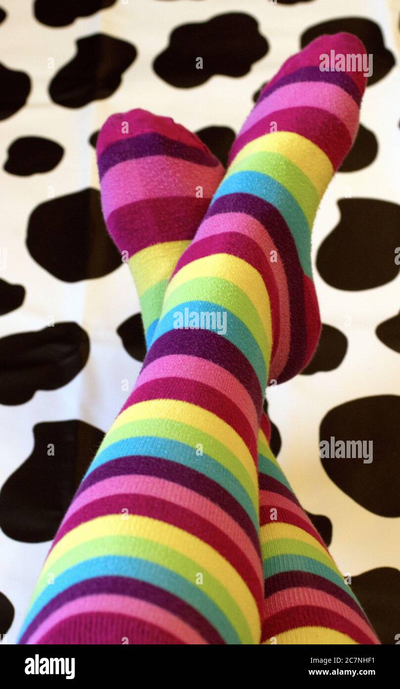Cow thigh clearance highs