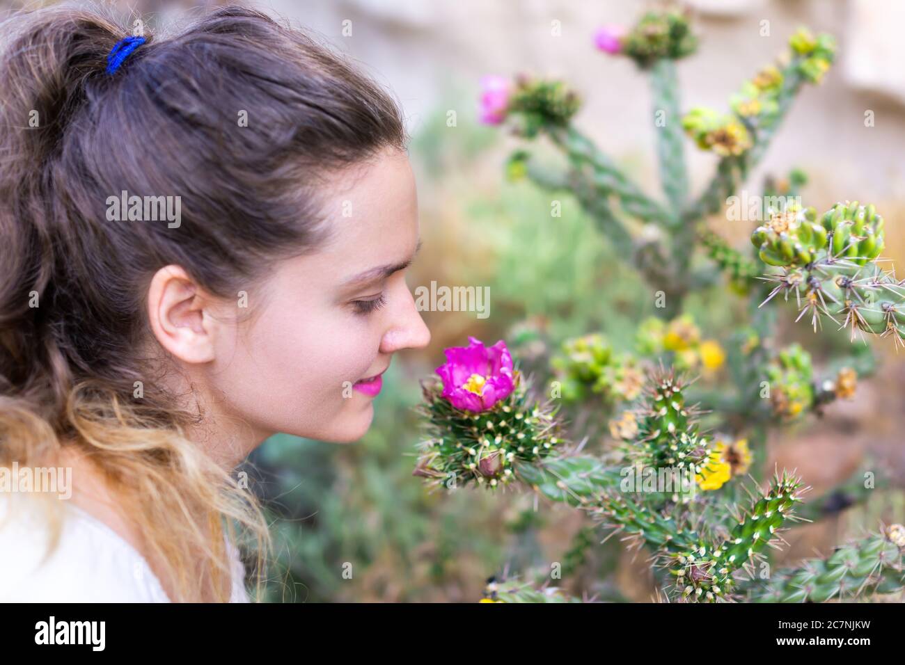 Young girl happy woman side profile smelling Cane Cholla cactus pink flower on Main Loop trail in Bandelier National Monument in New Mexico in Los Ala Stock Photo