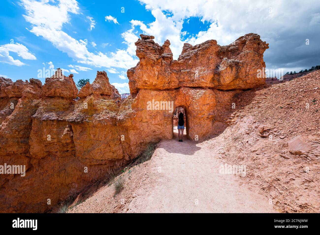 Woman hiking on navajo loop trail hi-res stock photography and images ...