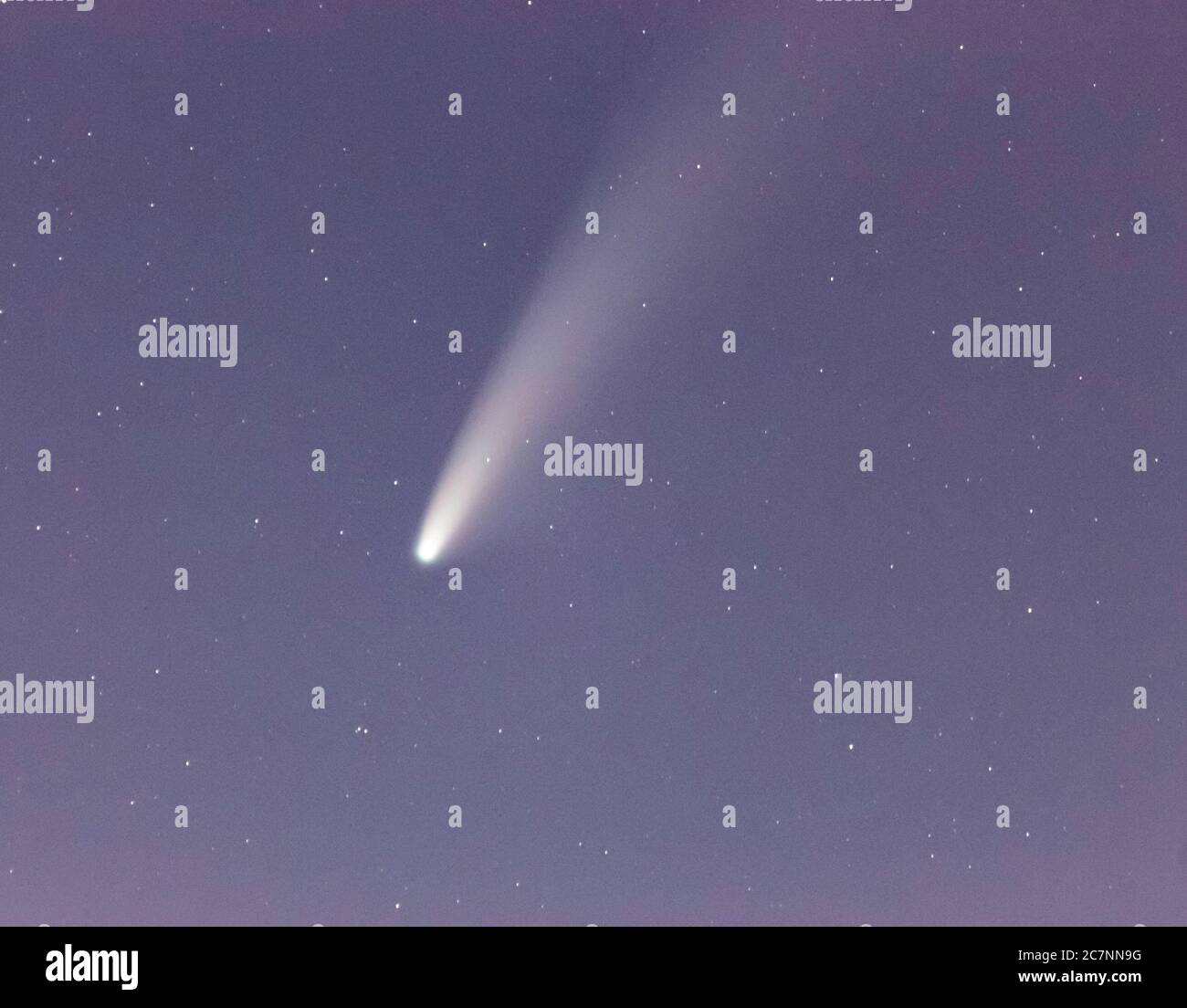 Comet NEOWISE Stock Photo