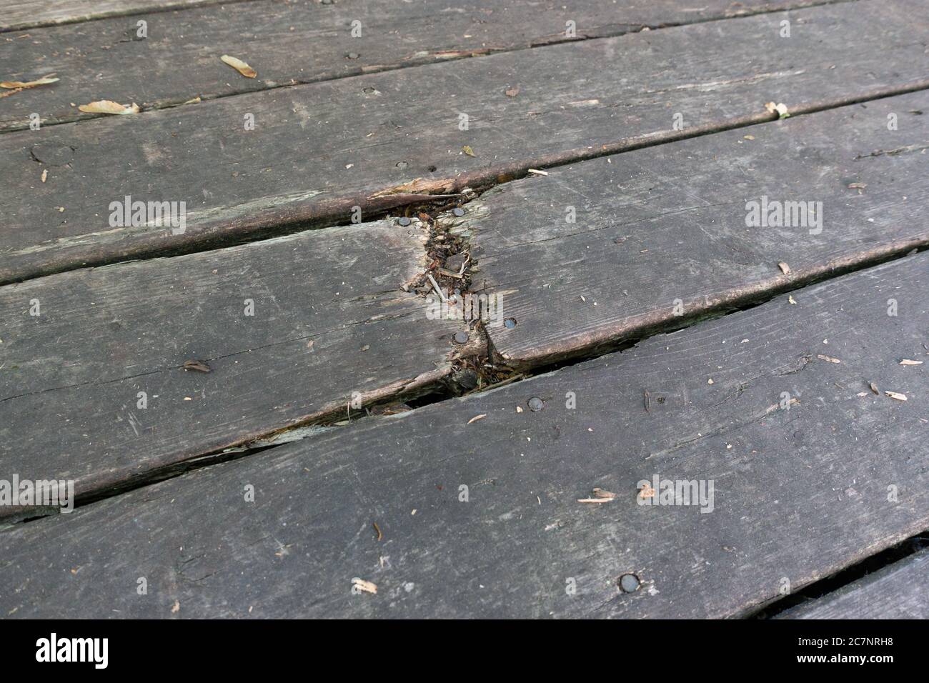 Weathered wooden deck with rotting sections in need of repair or replacement. Stock Photo