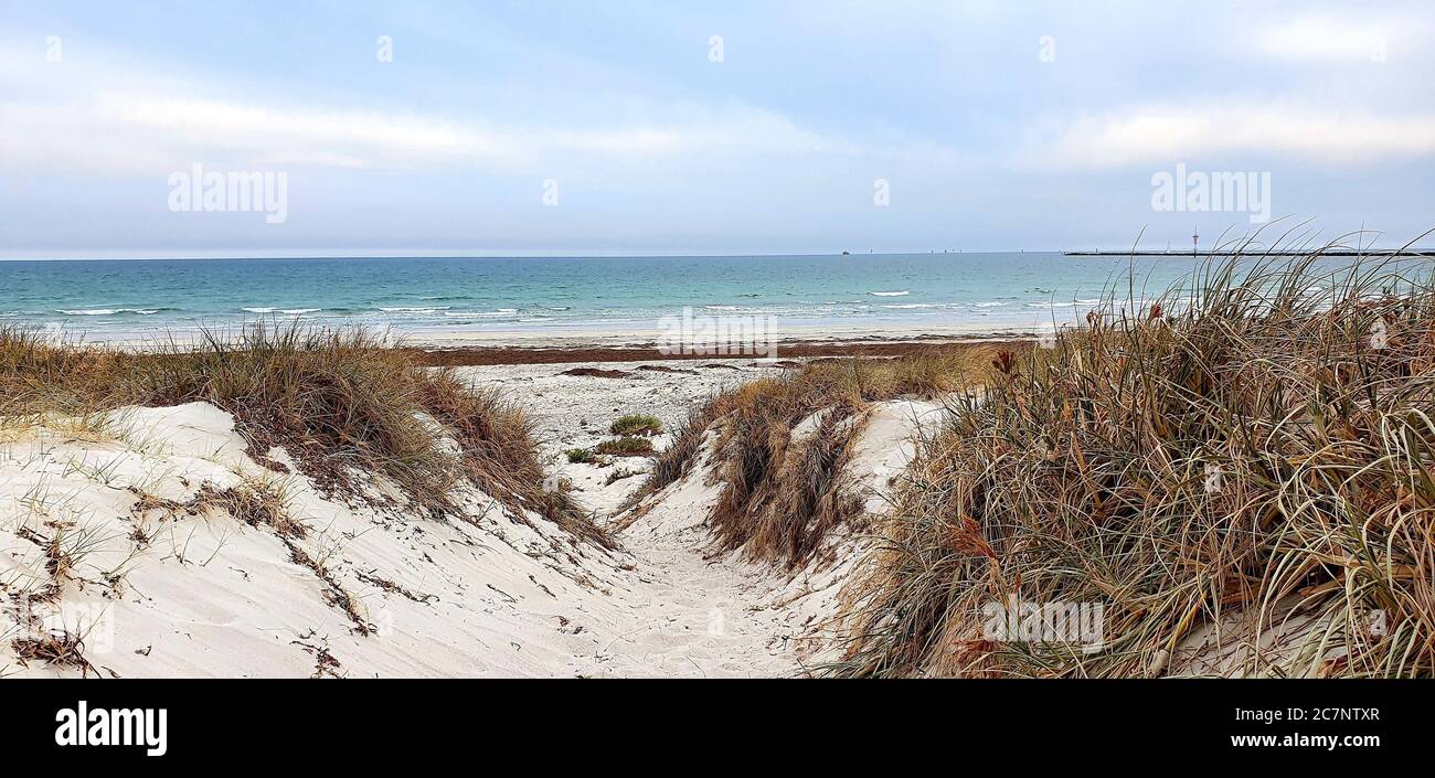 Sandy pathway on the beach surrounded by bushes captured during the ...
