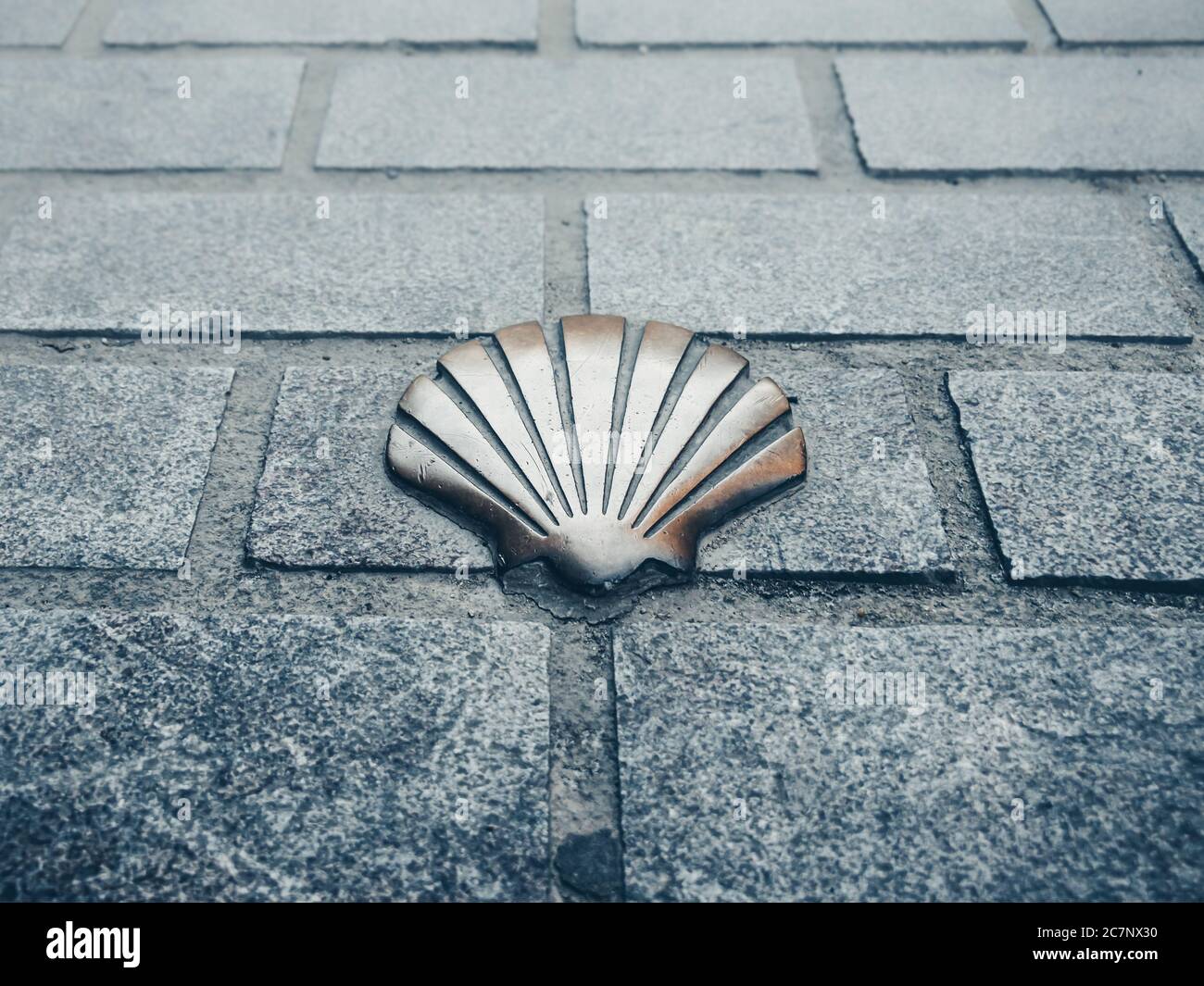 Closeup of a brass scallop shell symbol on a street tile Stock Photo ...