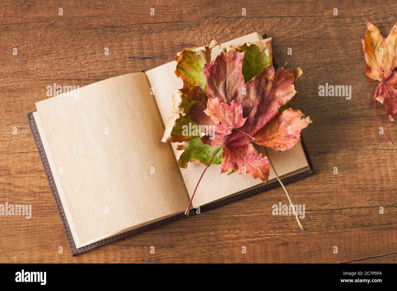 Empty book cover autumn leaves hi-res stock photography and images - Alamy