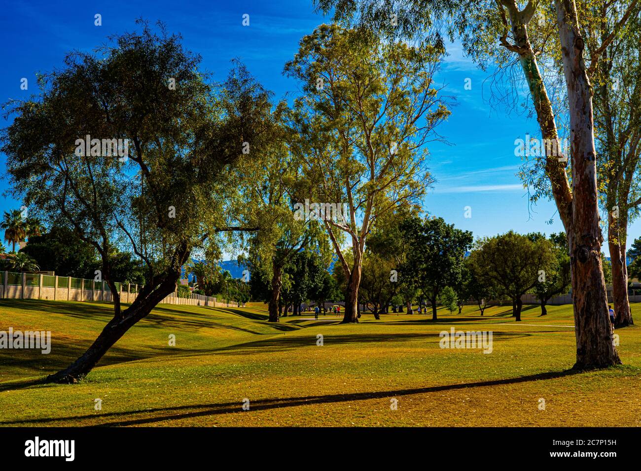 The greenbelt is filled with beautiful trees Stock Photo Alamy