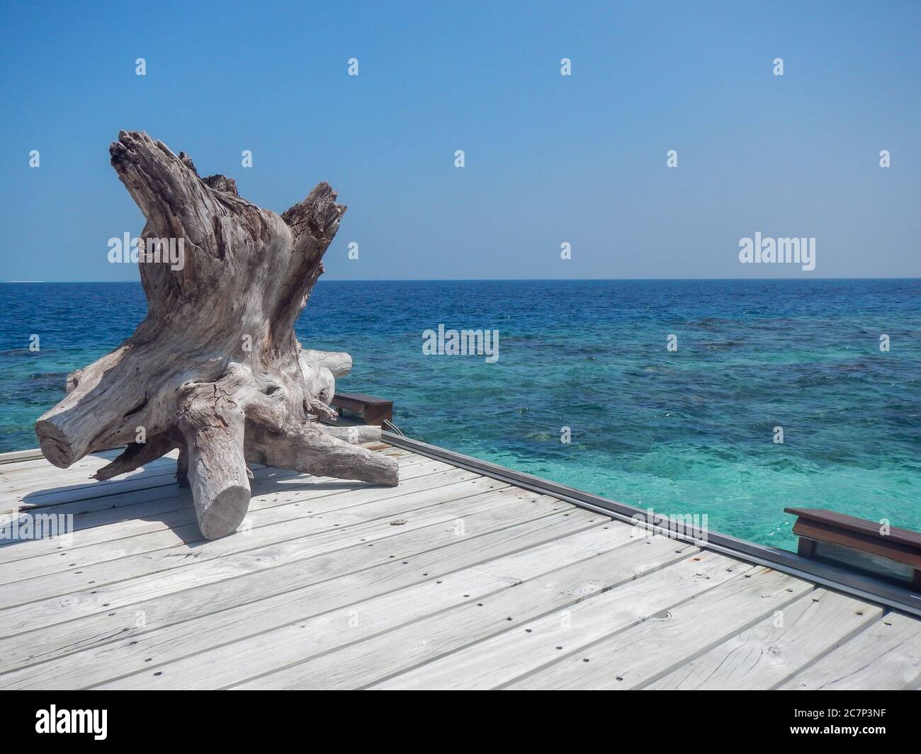 Piece of driftwood on a pier by the sea on a sunny day Stock Photo