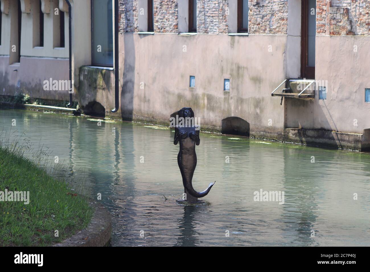 Mermaid statue on the river in the centre of Treviso, Italy Stock Photo
