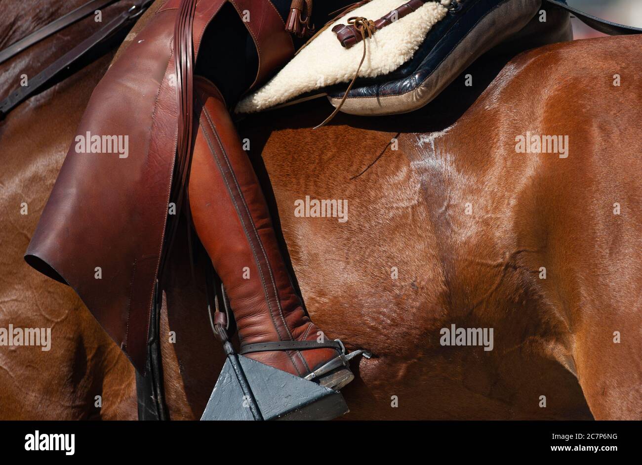 Horse and rider closeup, view on leg and partly saddle Stock Photo