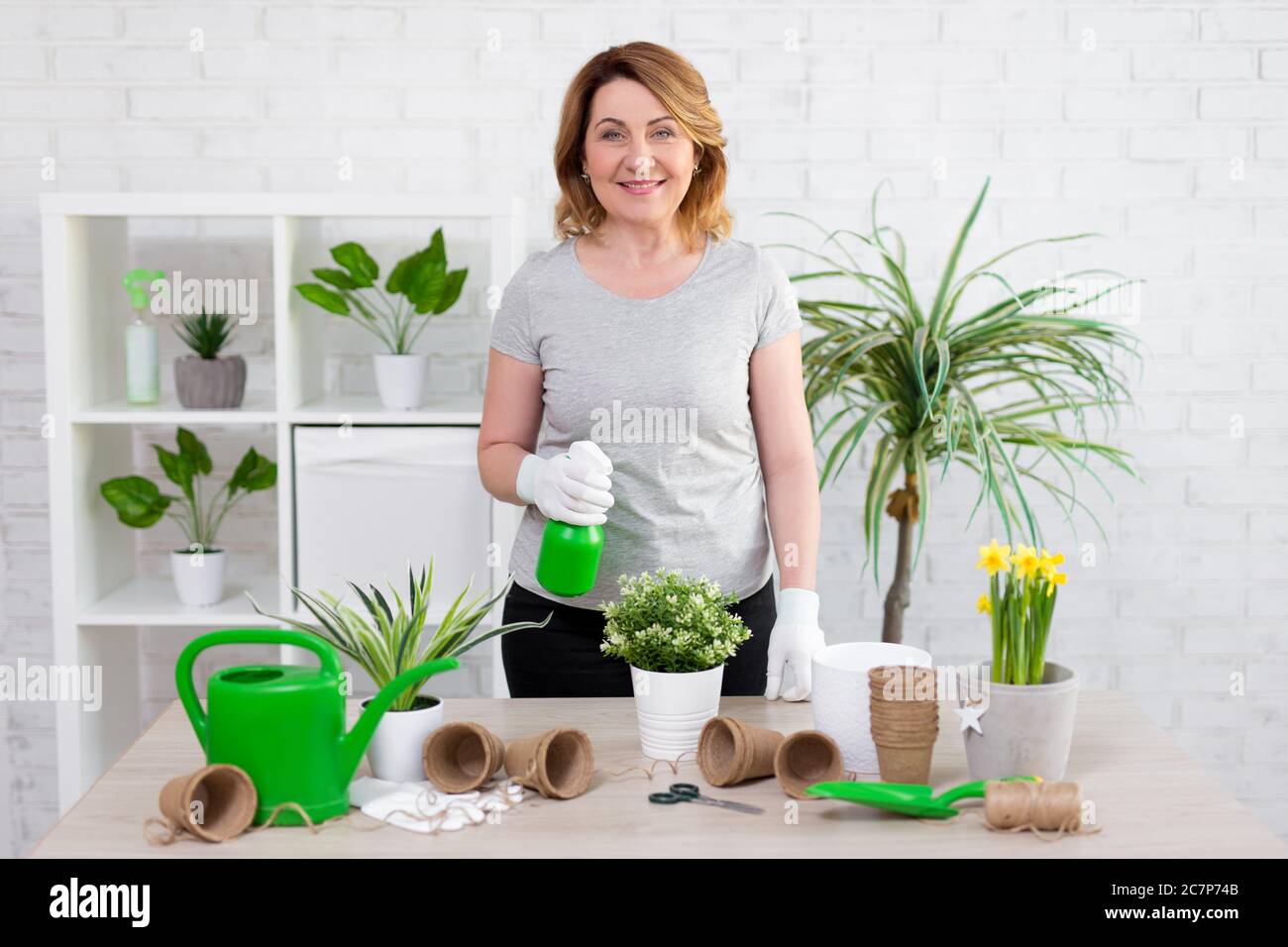 portrait of mature female gardener planting flowers in pots at home ...