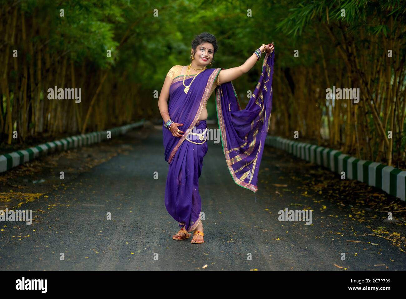 Image of Beautiful Indian young girl posing in traditional Indian saree on  white background.-ZC375417-Picxy