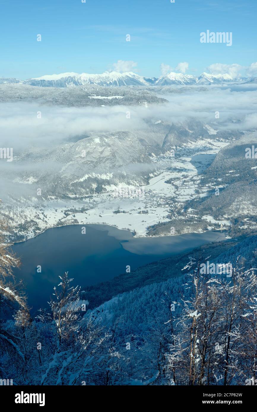 Aerial pine trees alps roads hi-res stock photography and images - Alamy