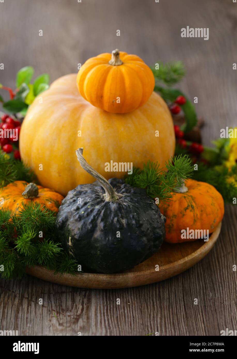 autumn still life with fresh pumpkins for decoration Stock Photo - Alamy