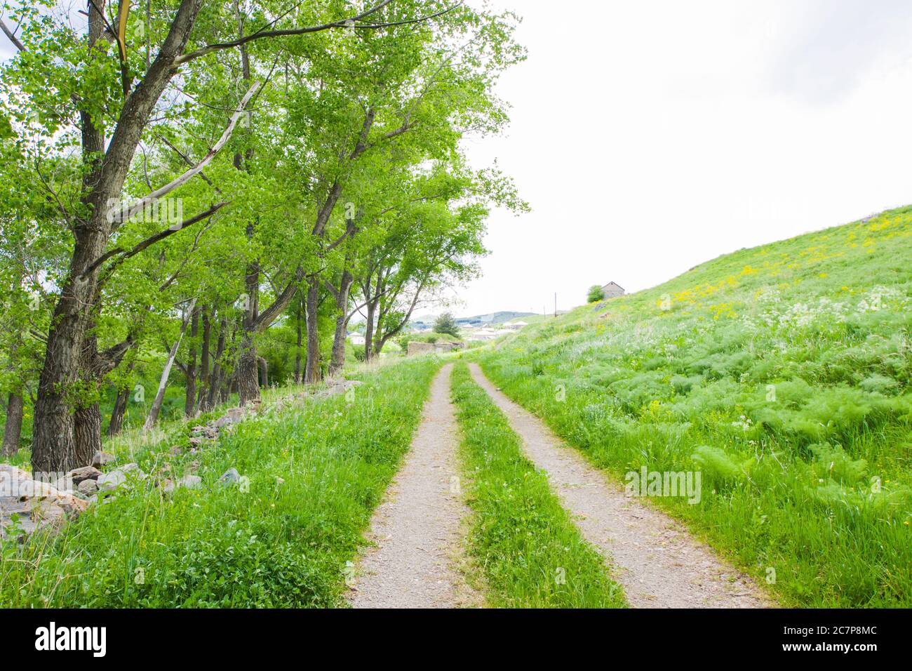 The village road, summer time, travel background. Georgia Stock Photo -  Alamy