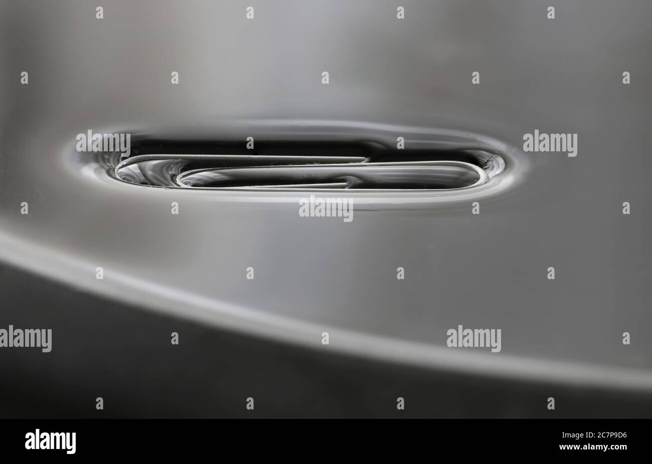 SCINCE, PHYSICS, 3 cm long paperclip floats on water due to the surface