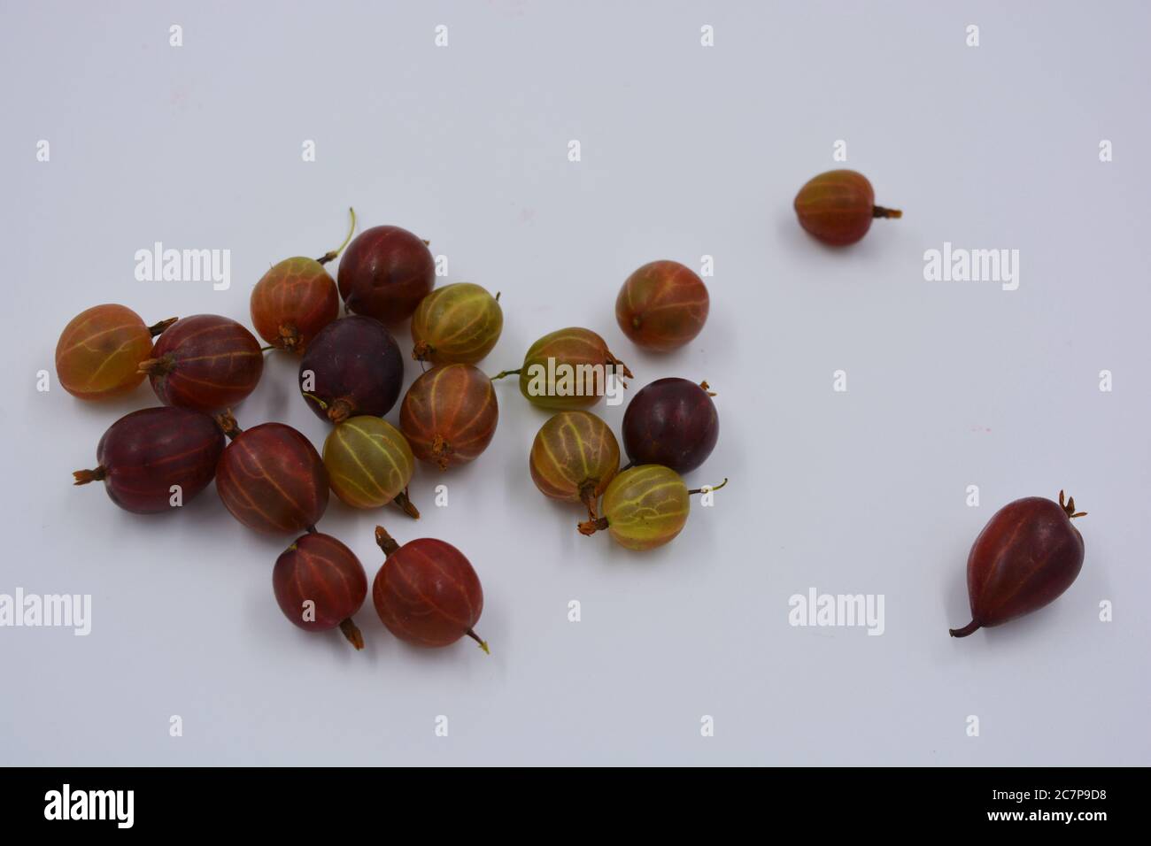 Gooseberries Ripe Chart Delicious ripe fruits of red juicy gooseberries arranged in a handful ...