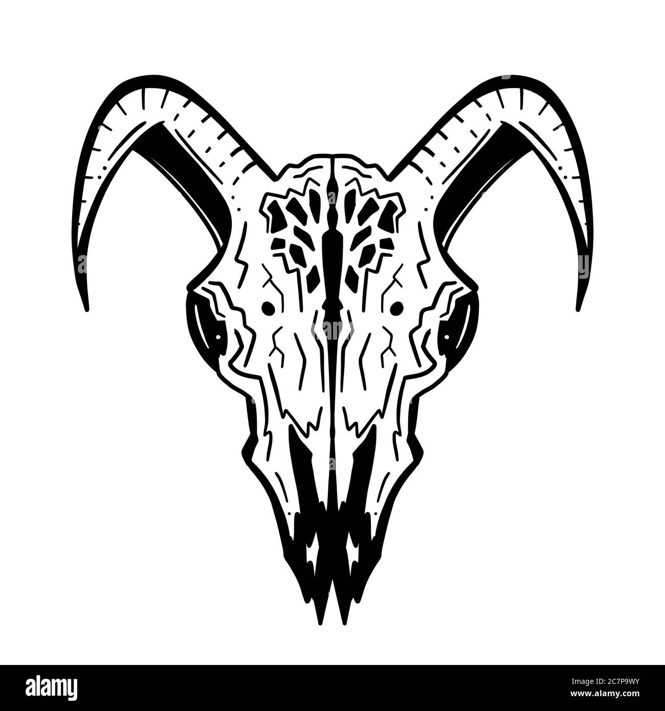 Black Line Art Sketch of an Animal Skull On White Background Stock Photo