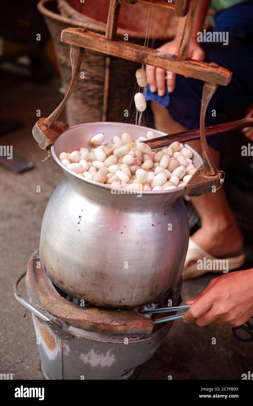 Man Boiling Silk Cocoons In Large Pan Stock Photo