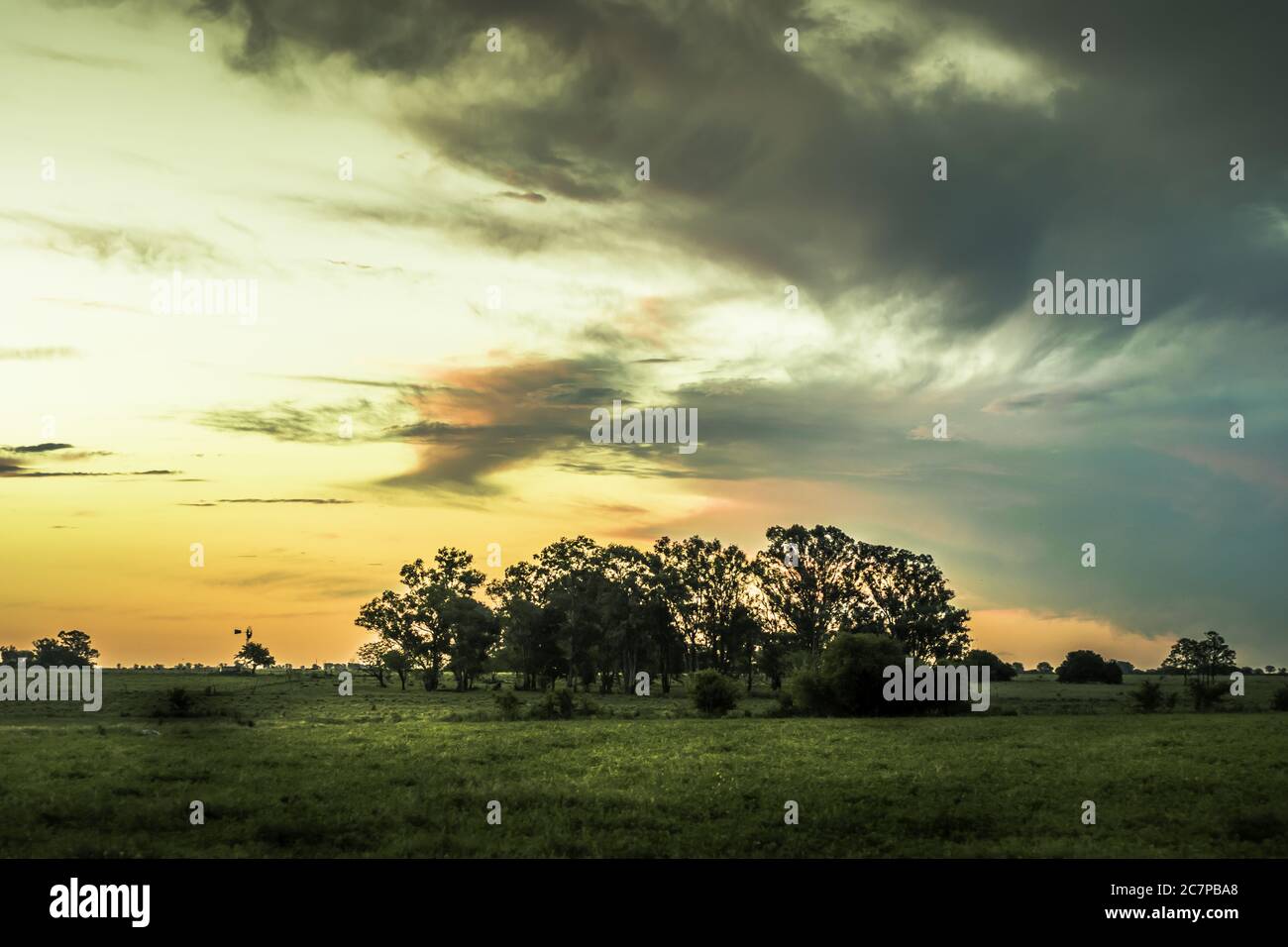 Beautiful view of a sunset over the green field with trees Stock Photo ...