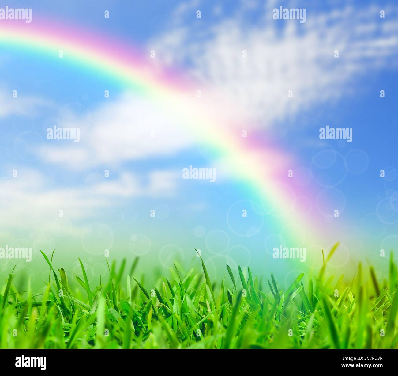 Green grass and blue sky with a rainbow, spring nature background Stock ...