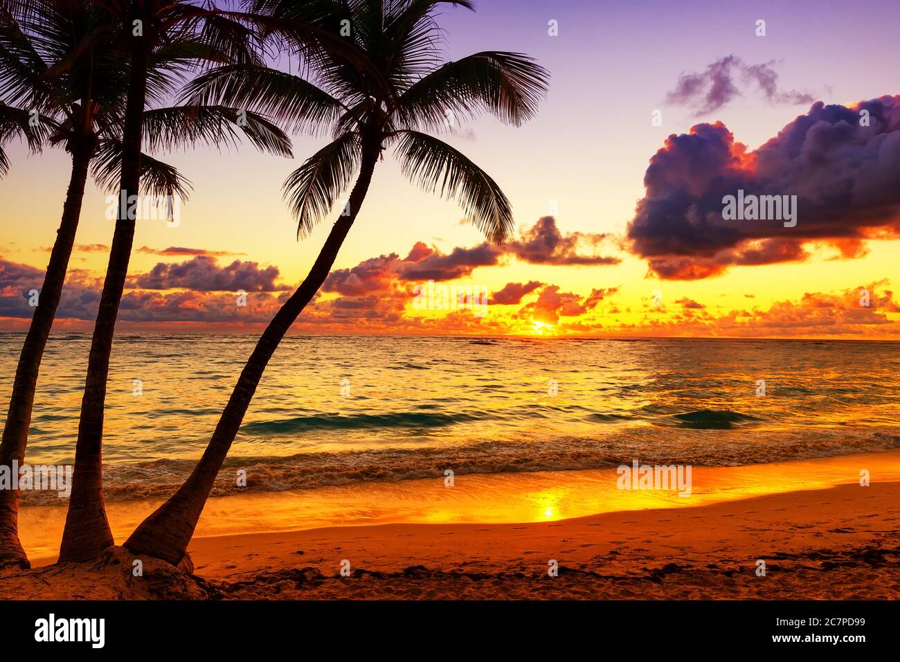 Coconut palm trees against colorful sunset in Punta Cana, Dominican Republic Stock Photo