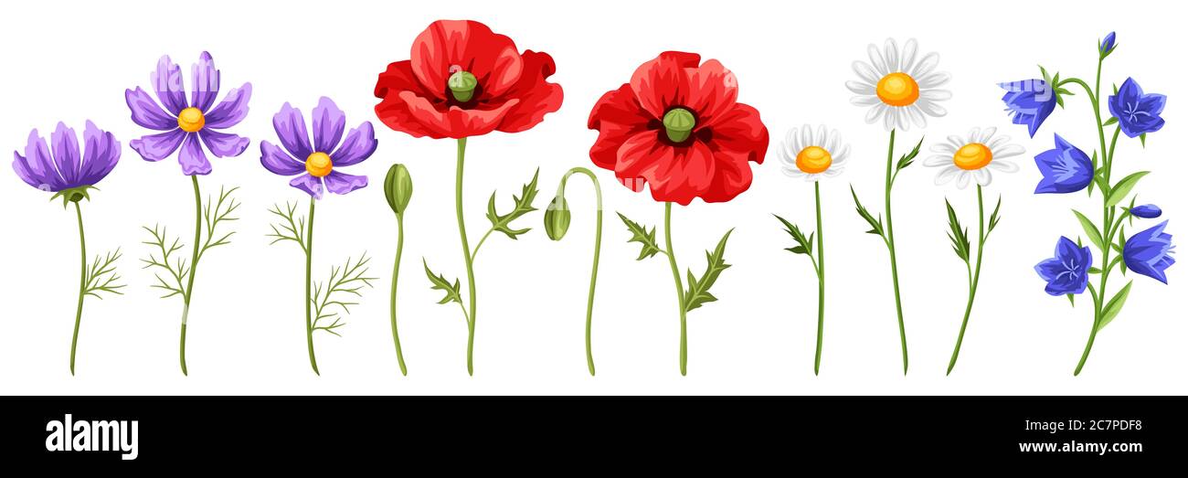 Set of summer flowers Stock Vector Image & Art - Alamy