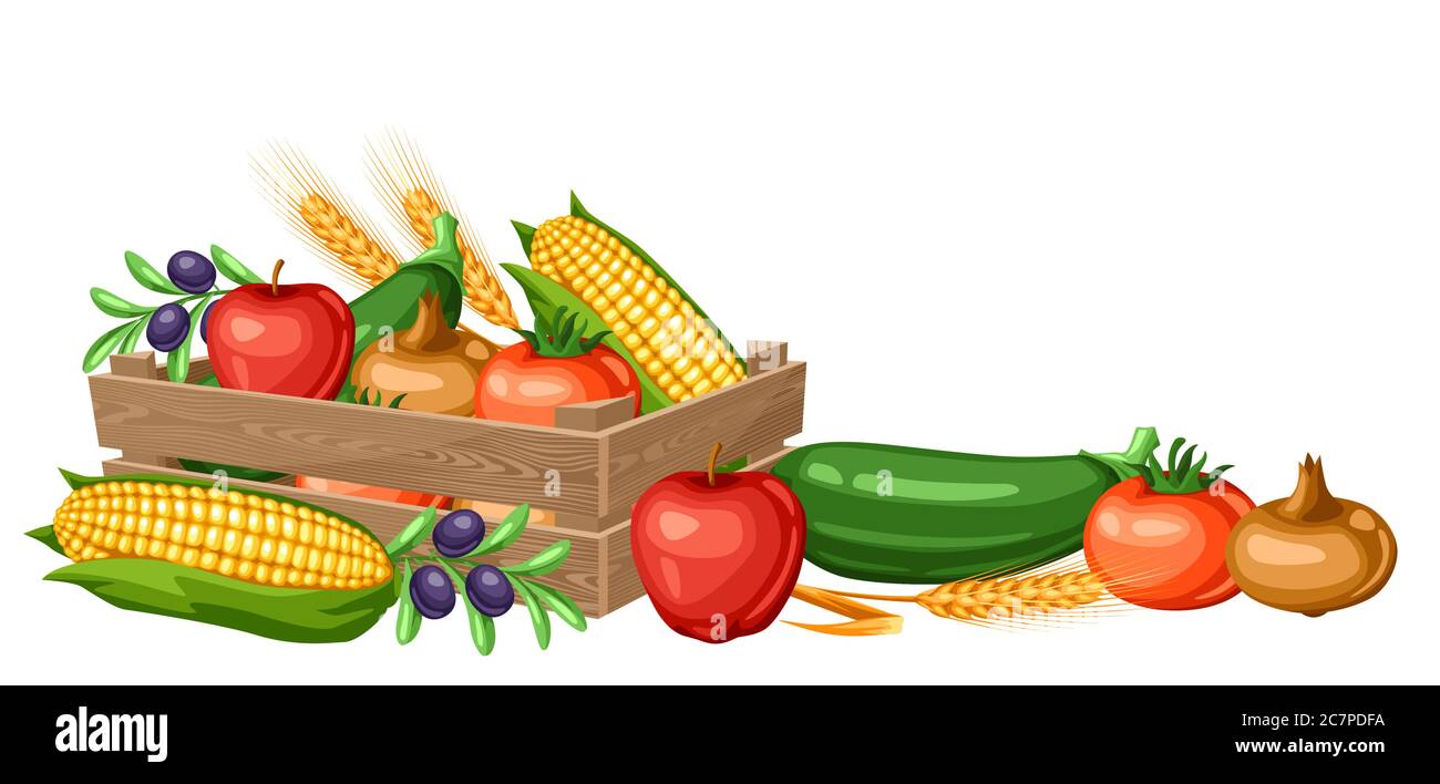 Harvest illustration of box with seasonal fruits and vegetables Stock ...