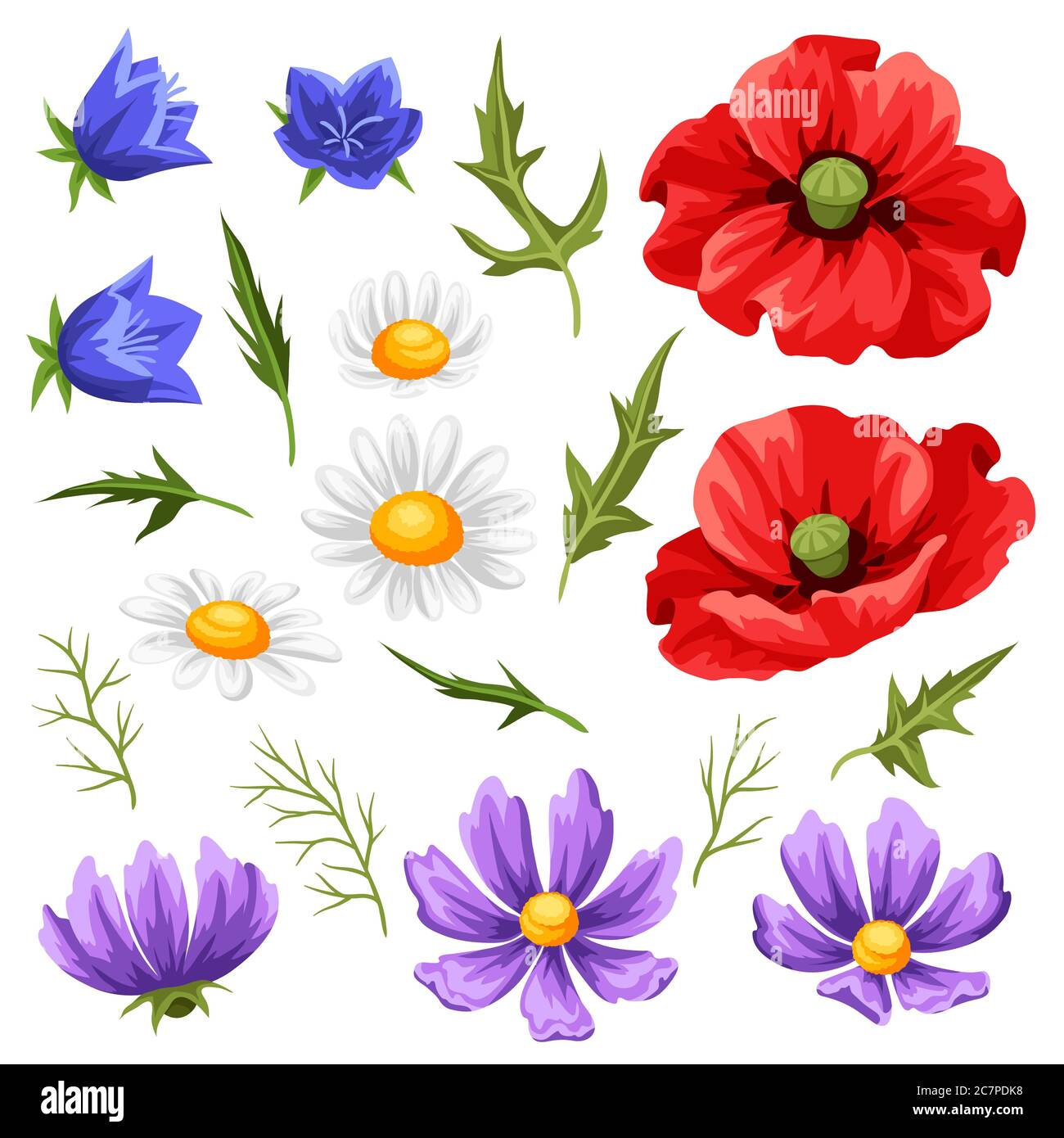 Set of summer flowers Stock Vector Image & Art - Alamy