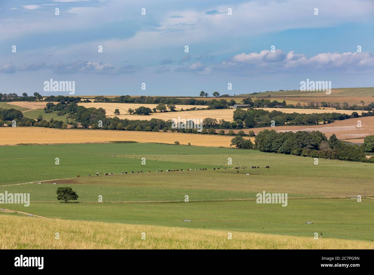 Typical farmyard set in the English countryside. Rolling hills of the South Downs in Hampshire. Stock Photo