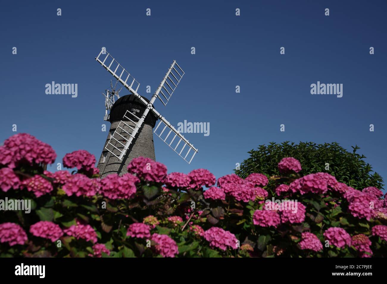 Colourful flowers next to Whitburn Windmill near Sunderland Stock Photo Alamy