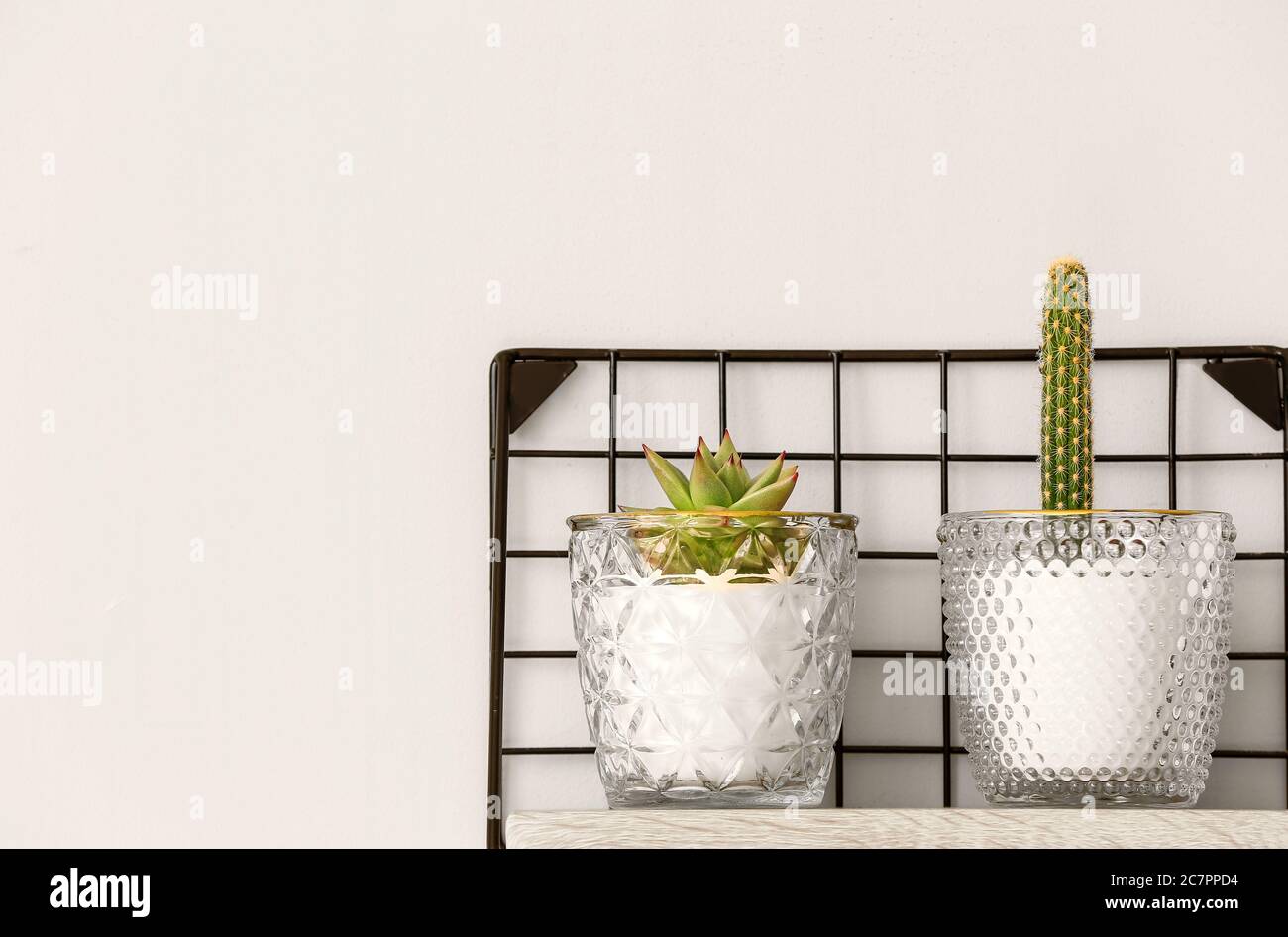 Shelf with green houseplants on wall Stock Photo - Alamy
