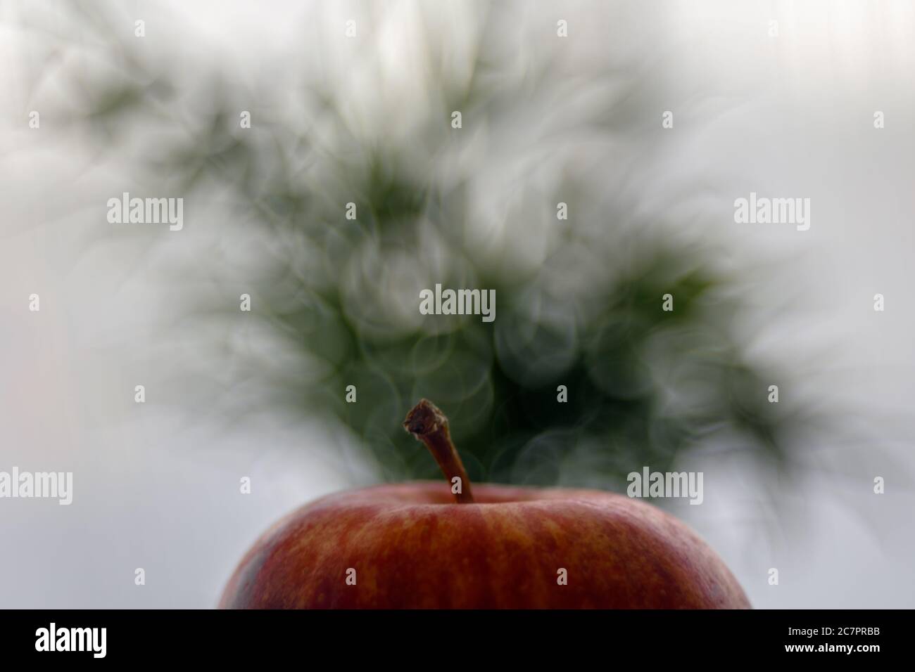 Bubble bokeh hi-res stock photography and images - Alamy
