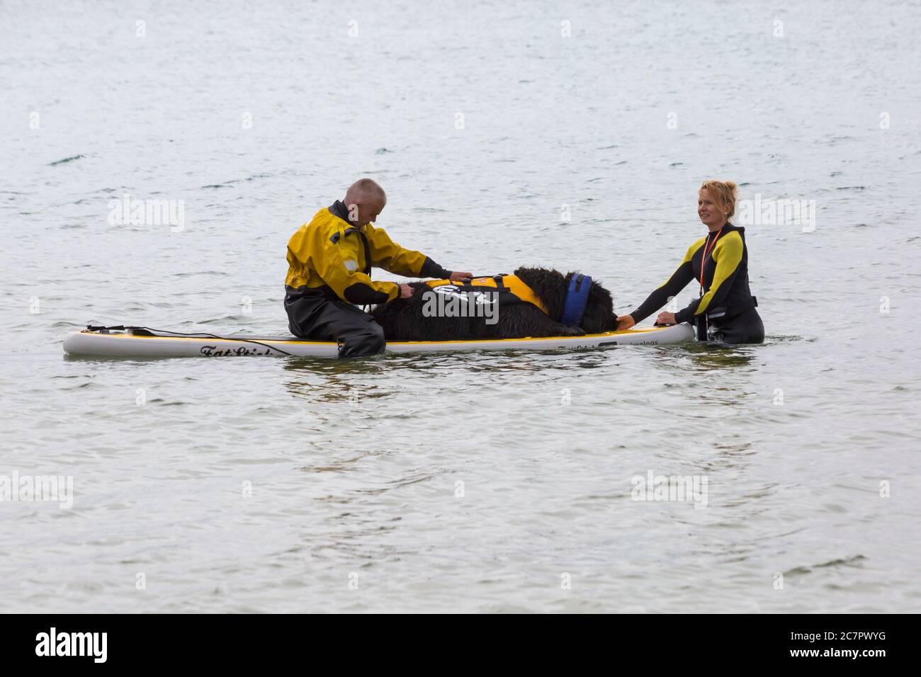 Poole, Dorset UK. 19th July 2020. Dog training sessions on the beach