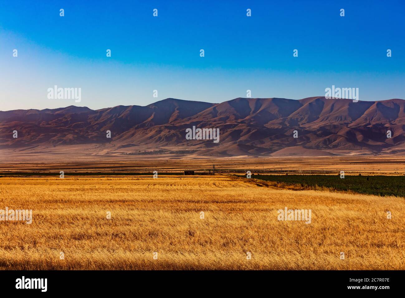 landscape panorama at sunset of  Wheat field near Vardenis landmark of Gegharkunik Armenia eastern Europe Stock Photo